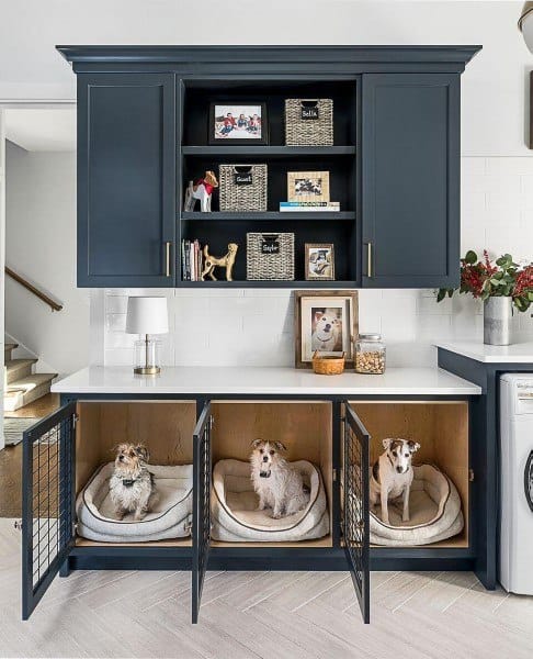 blue cabinet laundry room with dog houses