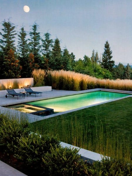 Moonlit pool and patio surrounded by tall grass and trees, with two lounge chairs and ambient lighting
