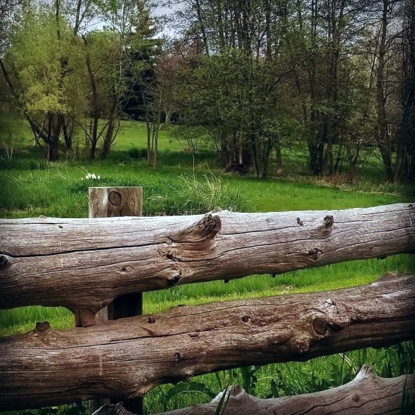 rustic cladded fence 