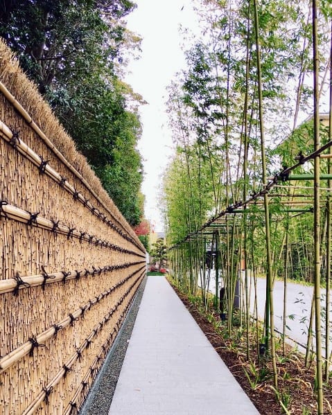 A long walkway bordered by a woven bamboo fence on one side and tall, green bamboo plants on the other.