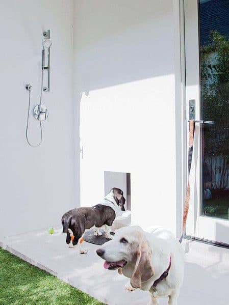 Magnificent Doggy Door Design Ideas For Modern Homes