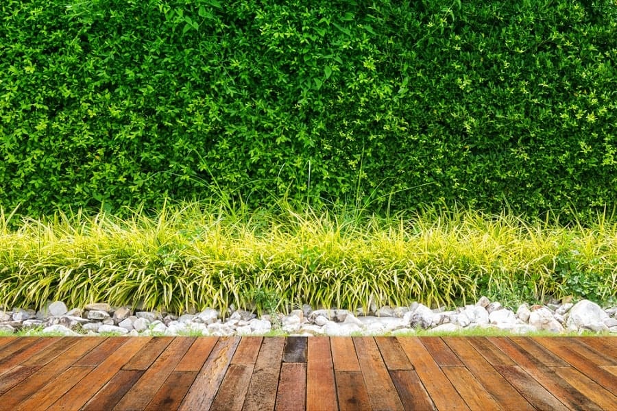 Wooden deck with lush hedge, plants, and small stones lining the walkway