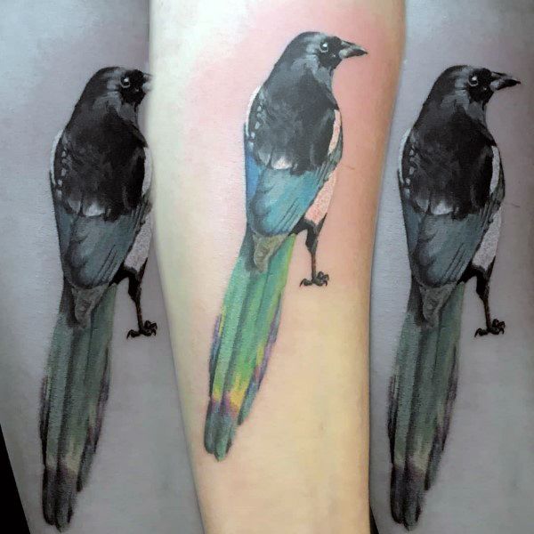 Realistic magpie tattoo on forearm, featuring detailed black and white feathers with a vibrant, iridescent green and blue tail.