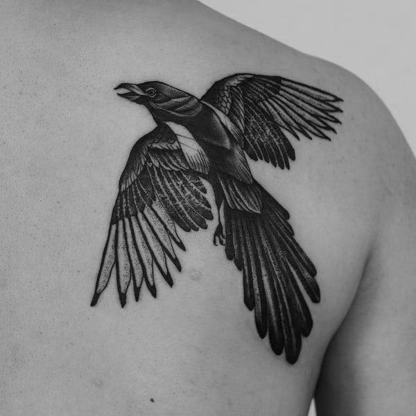 Black and gray back tattoo featuring a magpie in flight with detailed feathers and shading, symbolizing freedom, intelligence, and movement.