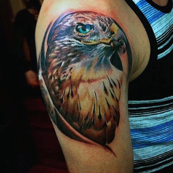Majestic Hawk Tattoo With Strong Color On Males Upper Arm