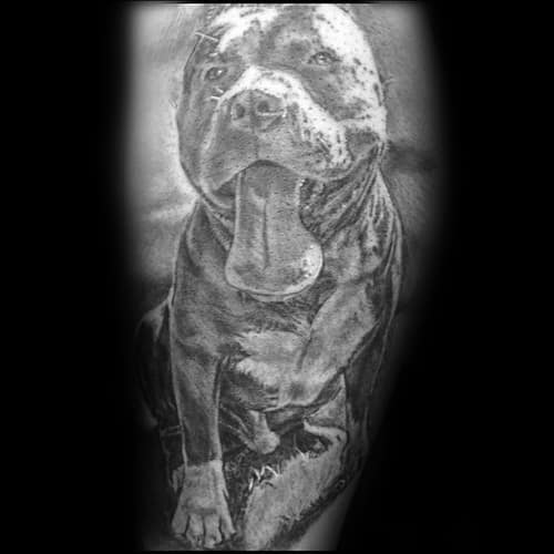 Male Cool Pitbull Tattoo Ideas