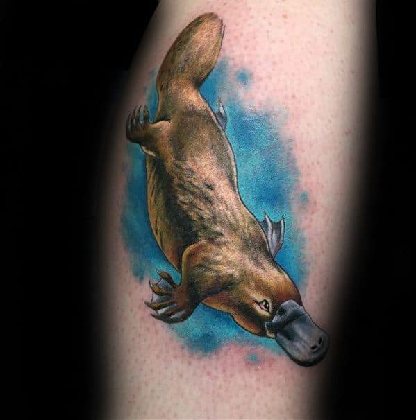 Male Cool Platypus Tattoo Ideas On Arm