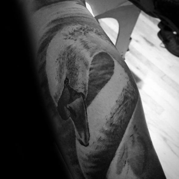 Realistic swan tattoo with its head gracefully curved inward, detailed with smooth shading and soft texture along the arm.