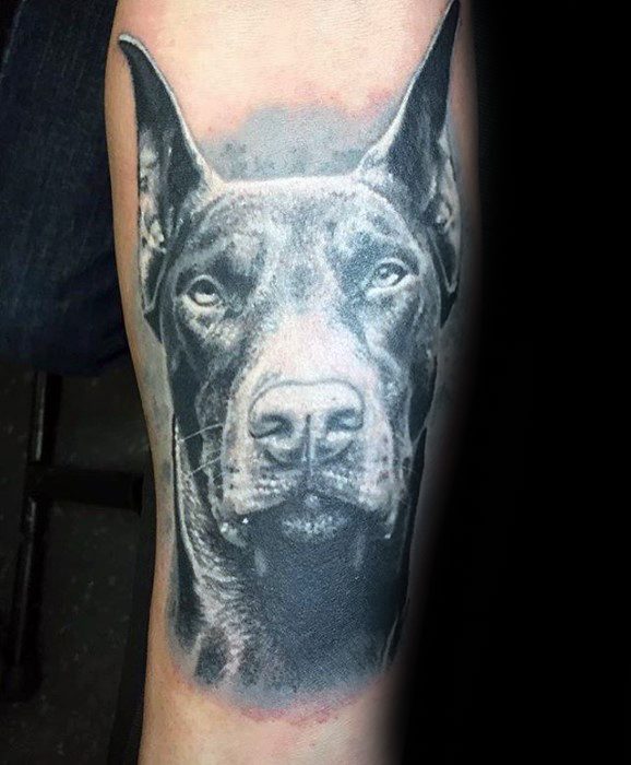 High-contrast black and grey Doberman tattoo with intense realism, focused eyes, and smooth shading for a commanding presence.