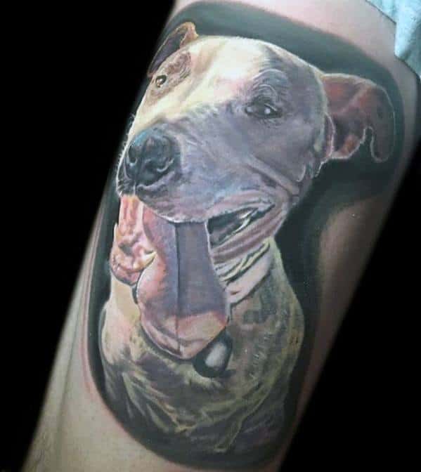 Male Dog Tattoo With Pitbull Design