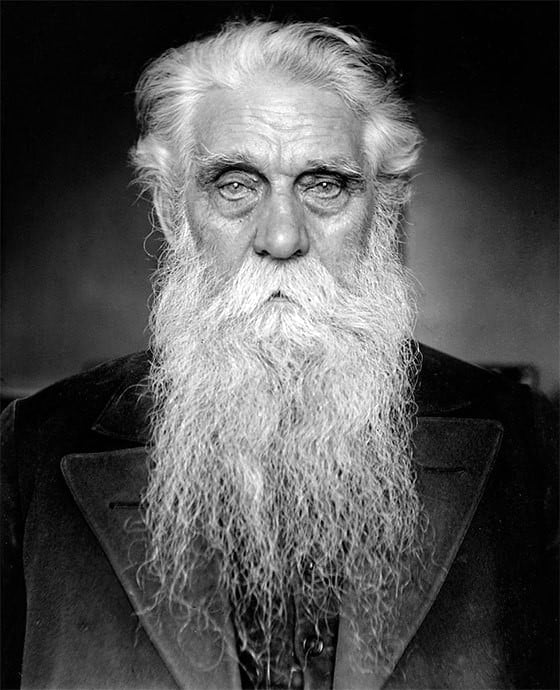 Male Grey Beard Style