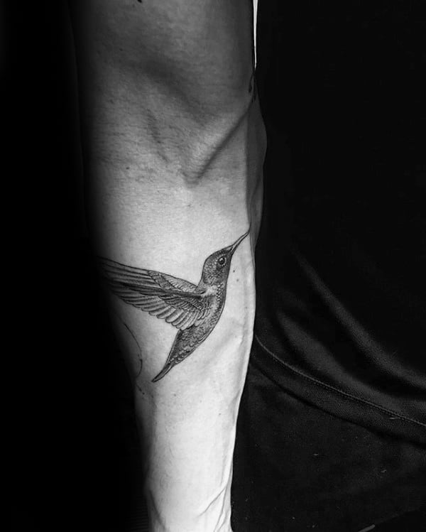Male Hummingbird Detailed Inner Forearm Tattoo Inspiration