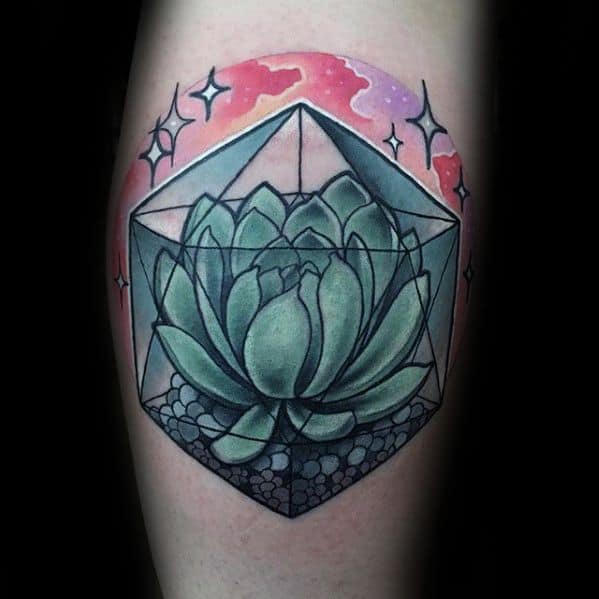 Colorful tattoo of a succulent inside an icosahedron terrarium, set against a dreamy pink sky with stars and cosmic elements.