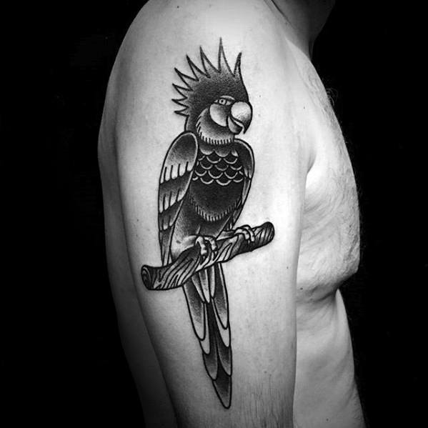 Male Parrot Tattoo Ideas On Arm