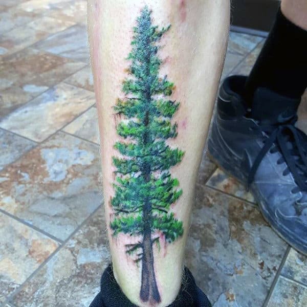 Male Pine Tree Shin Tattoos
