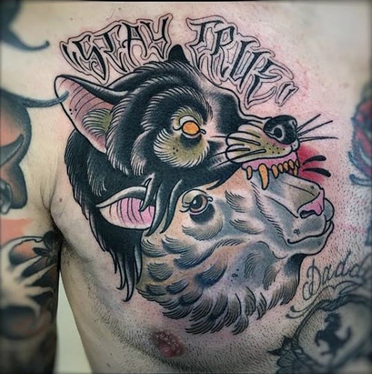Chest tattoo featuring a wolf's head over a sheep's head with the words "Stay True" above, in bold traditional style.