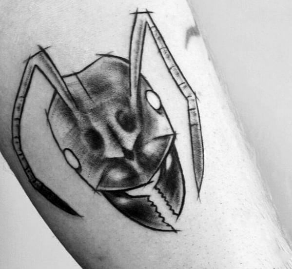 Male Sketched Arm Tattoo With Ant Design