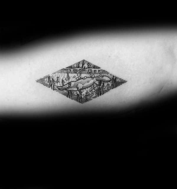 Male Small Simple Inner Arm Platypus Tattoo Ideas