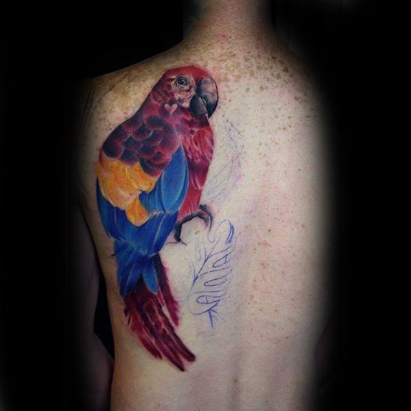 Male Tattoo With Parrot Design Half Back