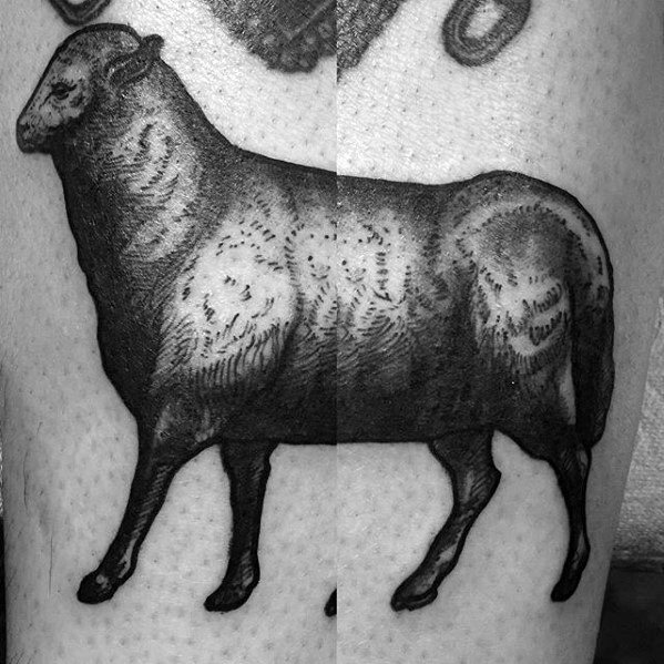 Black and white tattoo of a sheep split between two legs