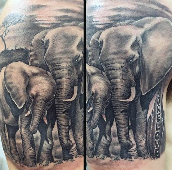 Male Upper Arms Mother And Child Elephant Tattoo
