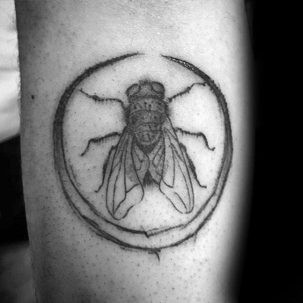 Fine line fly tattoo enclosed in a roughly sketched circle, featuring delicate wing details and a minimalist, hand-drawn aesthetic.