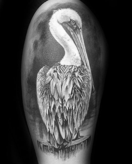Male With Cool Pelican Tattoo Design On Arm