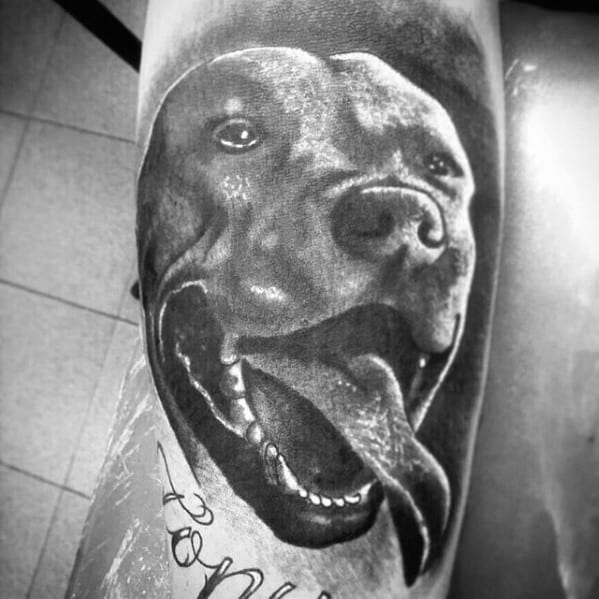 Male With Cool Pitbull Tattoo Design On Arm