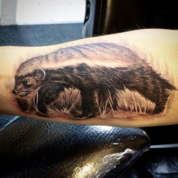 Male With Detailed Honey Badger Tattoo On Arm