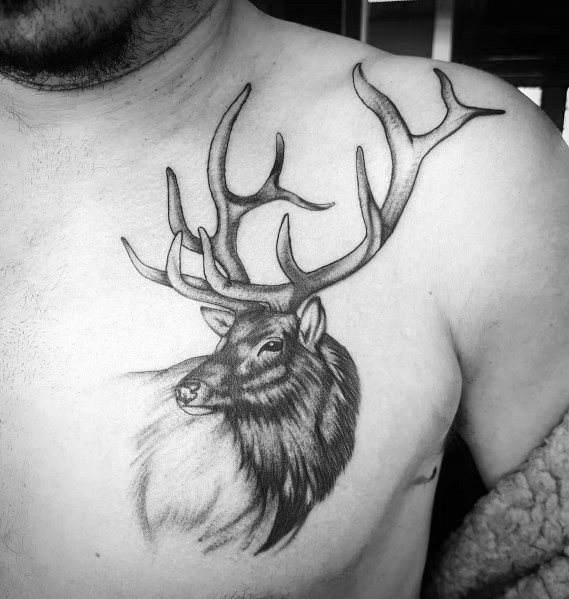 Realistic black and grey elk tattoo on the chest, featuring intricate shading, bold antlers, and fine details for a striking and lifelike design.