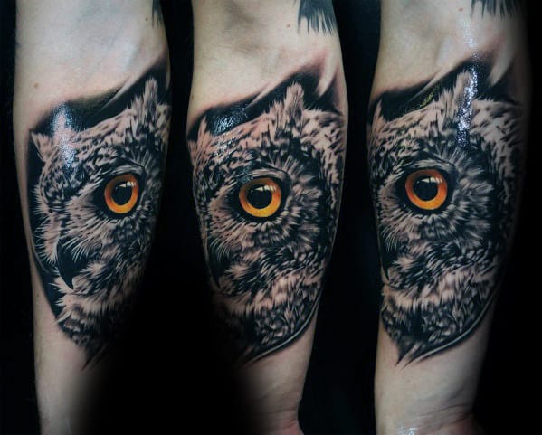 Male With Inner Forearm 3d Realistic Owl Tattoo Design