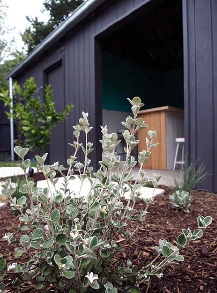 Man Cave Pub Shed Designs