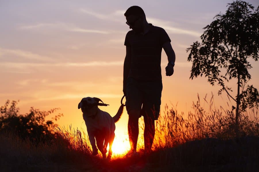 man walking with his at sunset