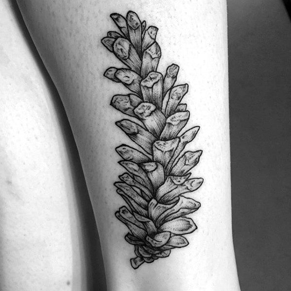 Man With Pine Cone Leg Tattoo