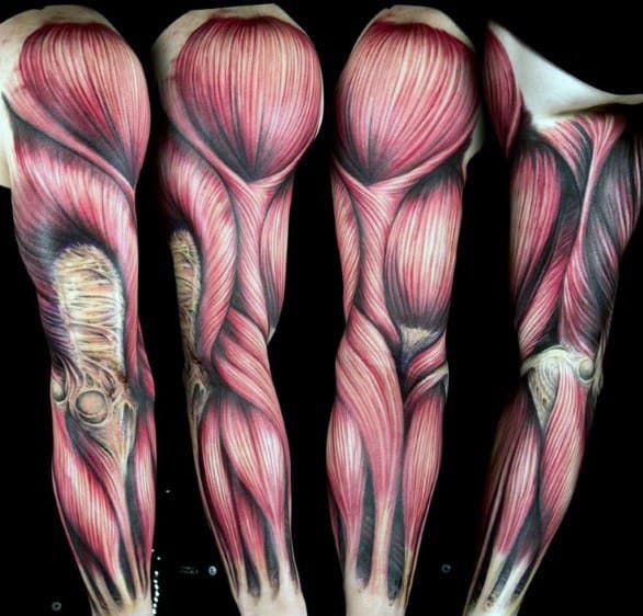Anatomical sleeve tattoo showcasing detailed red muscle fibers and tendons with bone highlights, mimicking a skinless human arm.