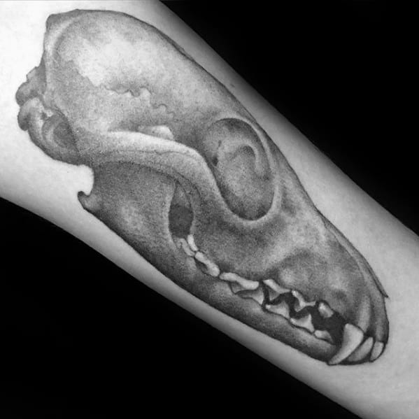 Realistic black and grey fox skull tattoo with smooth gradient shading, placed on the forearm for a bold anatomical look.