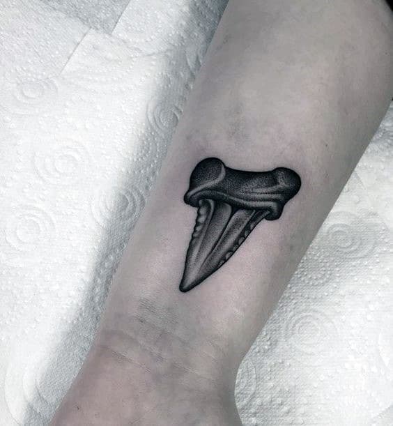 Manly Guys Shark Tooth Inner Forearm Tattoo Design Ideas
