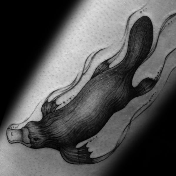 Manly Platypus Tattoo Design Ideas For Men Inner Arm Bicep