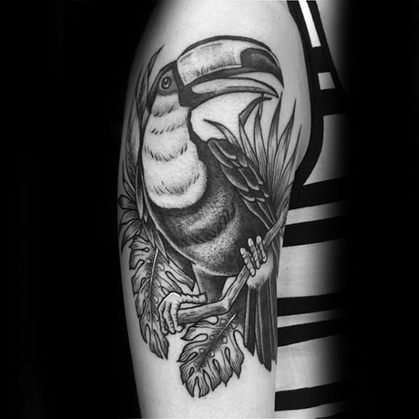 Black and grey toucan tattoo on the upper arm with detailed shading and tropical leaves for a bold monochromatic jungle vibe.