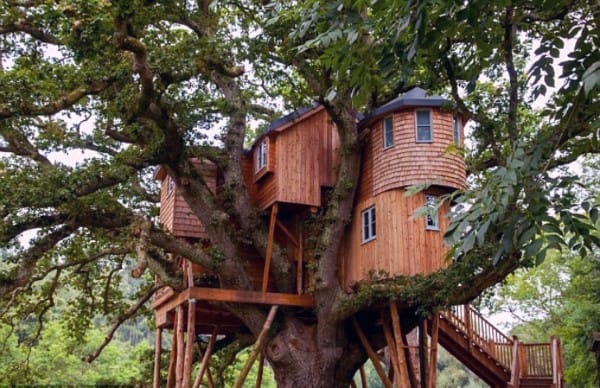 Treehouse built among large branches of a tree, featuring round wooden structures with small windows