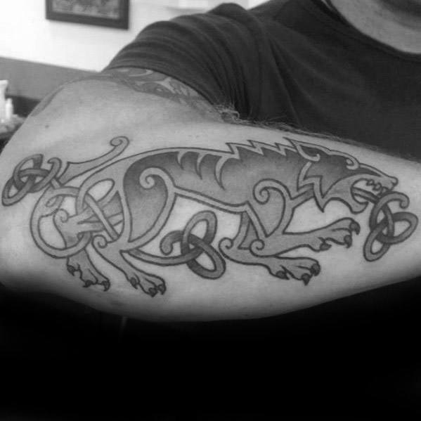 Celtic wolf tattoo on upper arm featuring bold lines, knotwork patterns, and a fierce, stylized wolf in a dynamic pose.