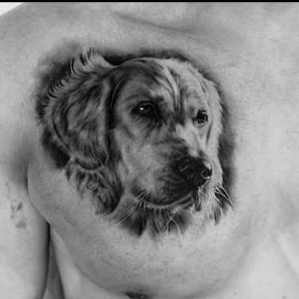 Realistic black and grey Golden Retriever tattoo on the chest, featuring intricate fur shading and lifelike expression for a heartfelt tribute.