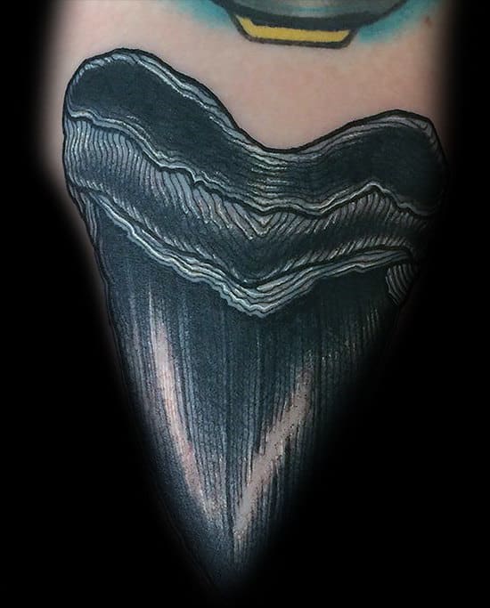 Masculine Guys Shark Tooth Forearm Tattoos