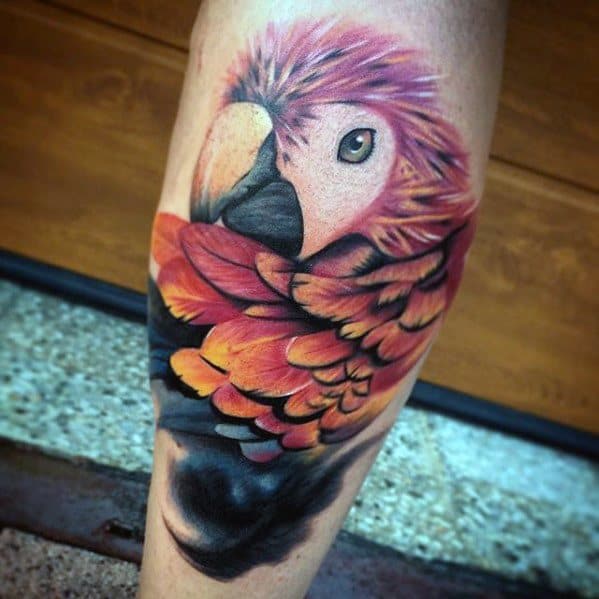 Masculine Parrot Tattoos For Men Leg Calf 3d Design
