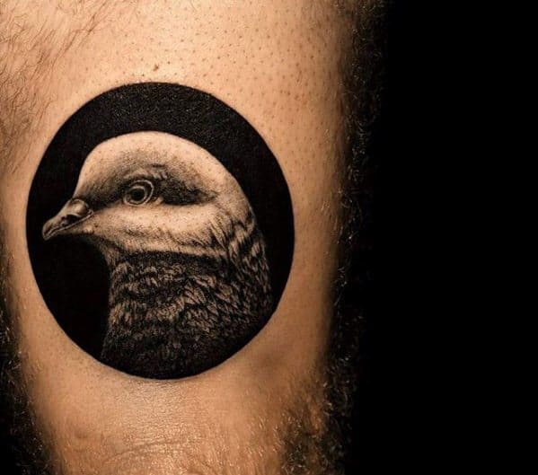 Hyper-realistic pigeon portrait tattoo inside a bold black circle, creating a sharp contrast and a striking, focused composition.