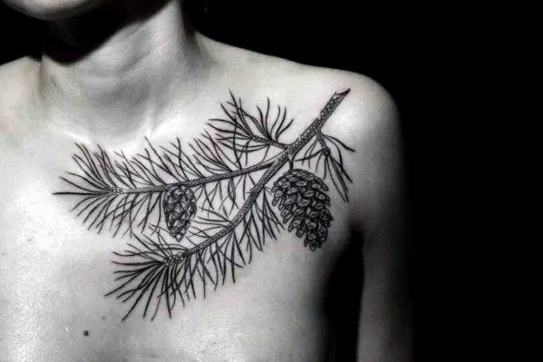 Masculine Pine Cone Tree Branch Guys Shoulder And Chest Tattoo