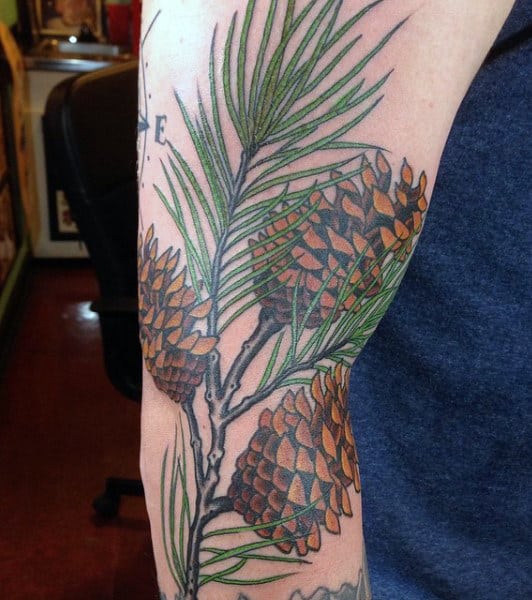 Masculine Pine Tree Branch And Cones Tattoos For Men