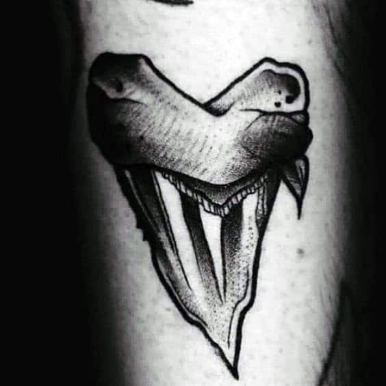 Masculine Shark Tooth Male Arm Tattoo Dieas
