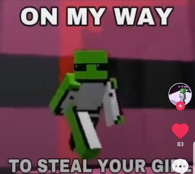 mcyt-memes-6