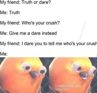 memes-to-send-your-crush-14